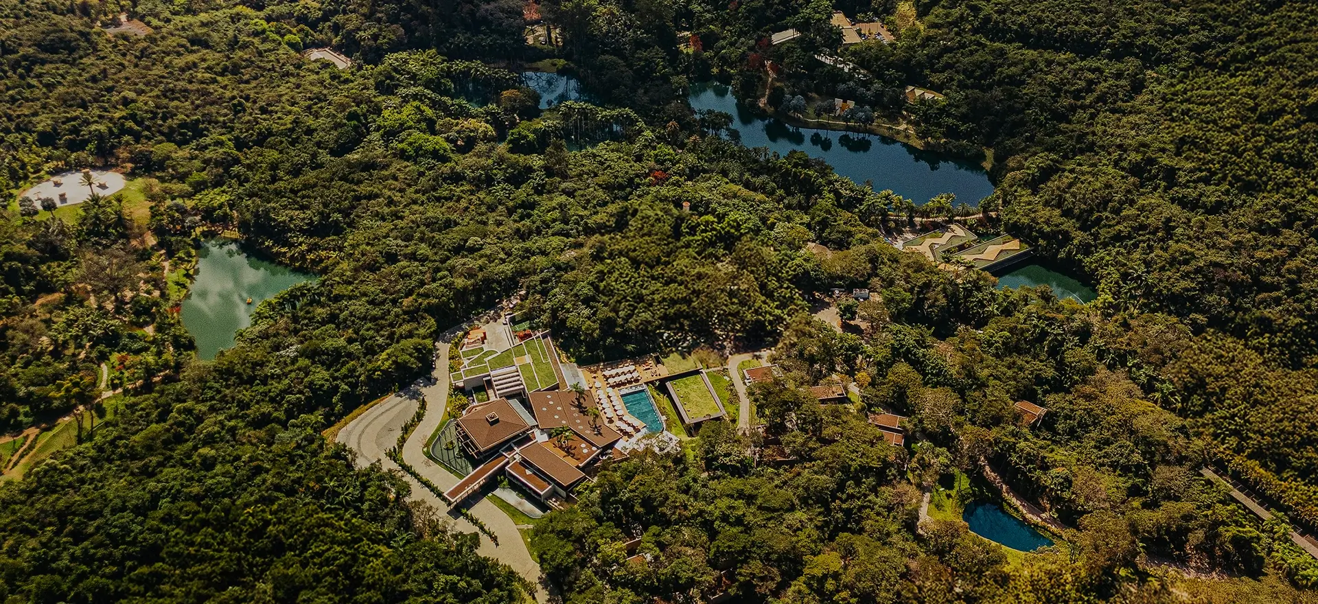 vista aerea clara arte